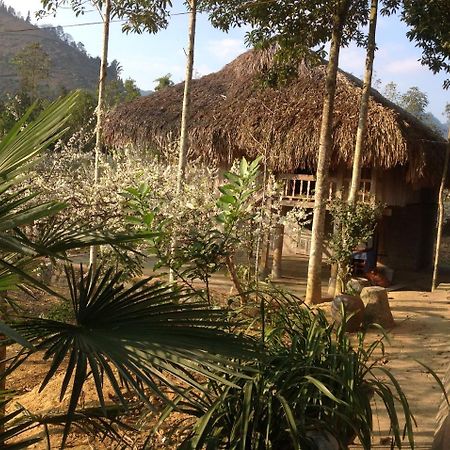 Ferienwohnung Sa House Bac Ha Exterior foto