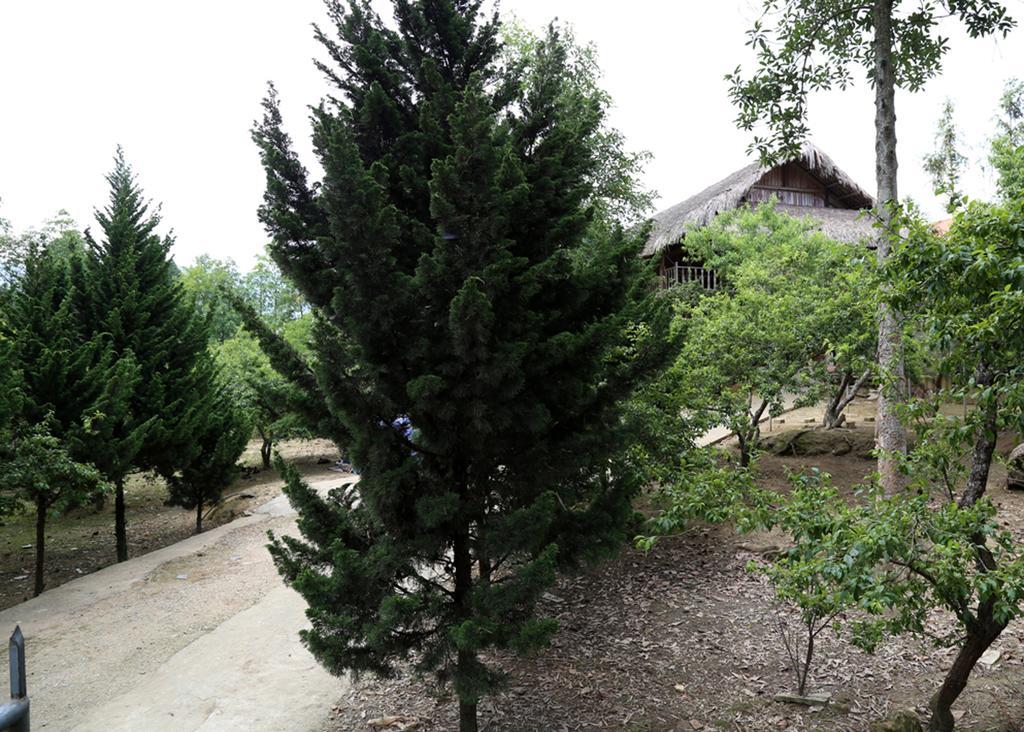 Ferienwohnung Sa House Bac Ha Exterior foto